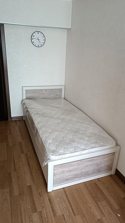 Коен Сосна