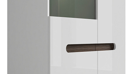 Шкаф REG1W1D/21/9